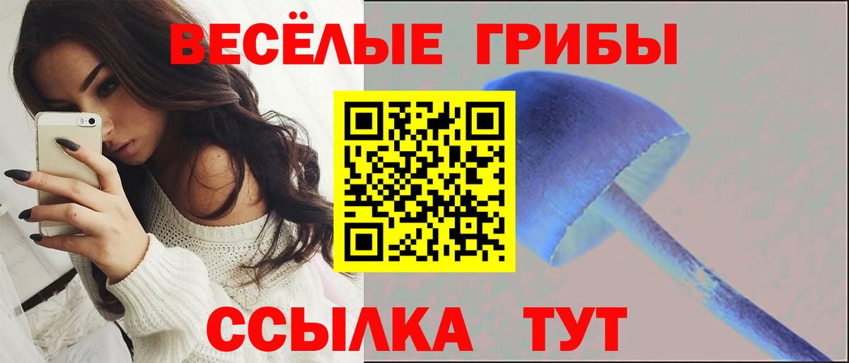 Галлюциногенные грибы ЛСД  хочу   Шахты  Вход с VPN 